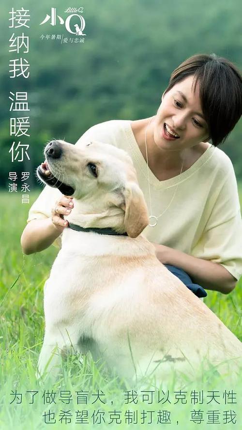 农村不动产证补办流程